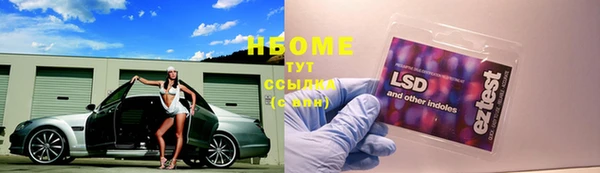 стафф Богородск