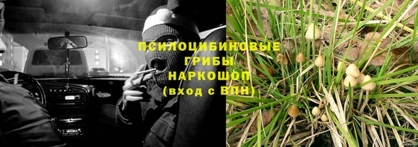 стафф Богородск