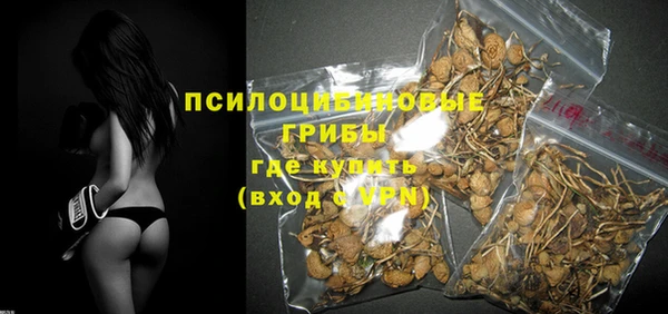 стафф Богородск