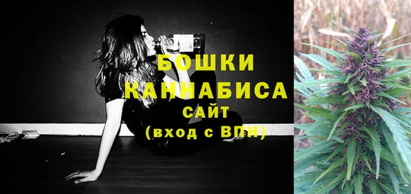 стафф Богородск