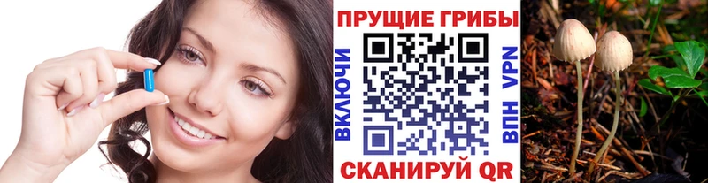 Купить где  Петухово  Псилоцибиновые грибы GOLDEN TEACHER 